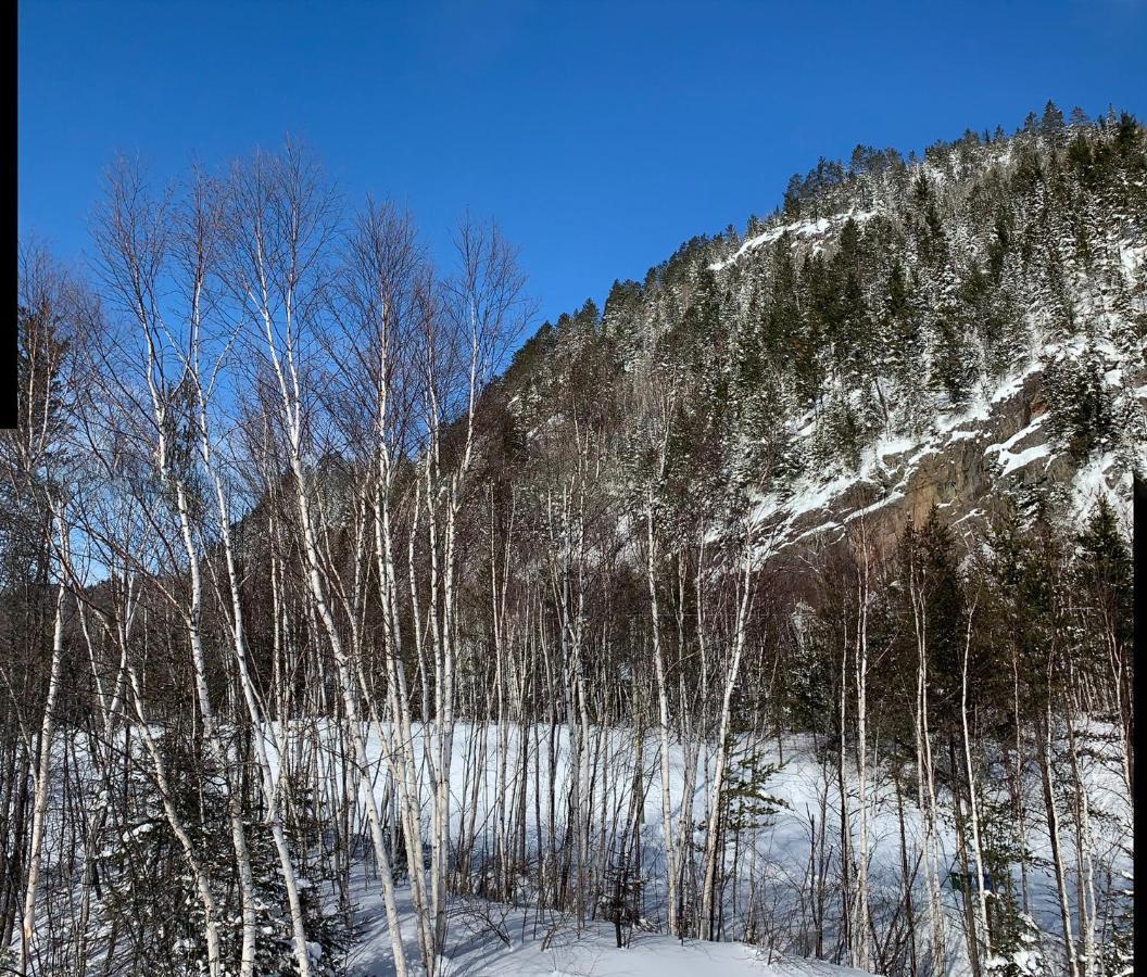 Condo Mont-Edouard LʼAnse-Saint-Jean Exteriér fotografie